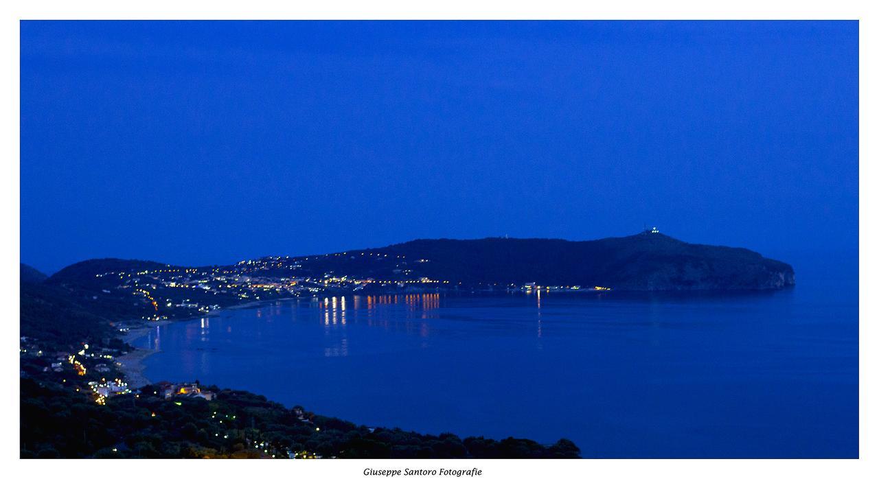 Belvedere Hotel-B&B ปาลีนูโร ภายนอก รูปภาพ